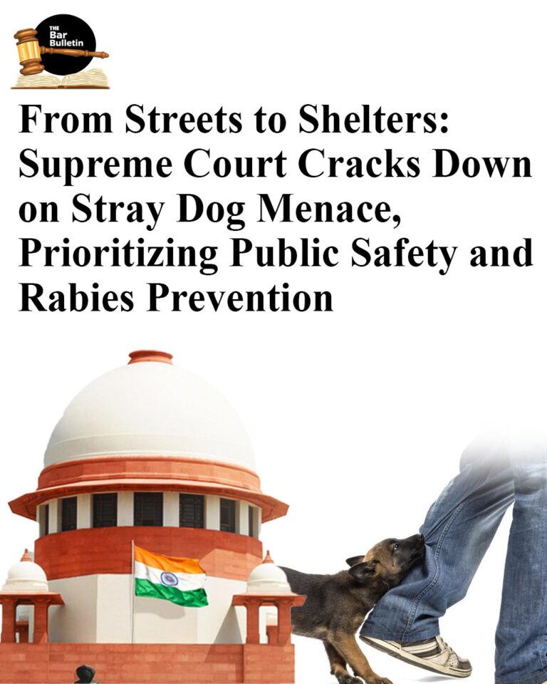 Stray Dog Control