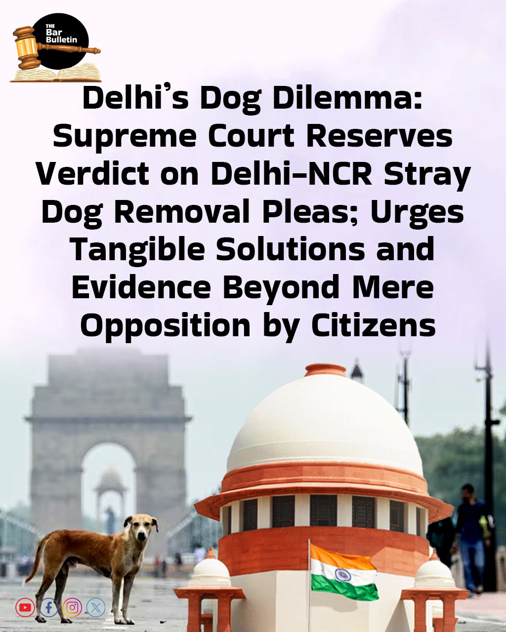 Delhi’s Dog Dilemma: Supreme Court Reserves Verdict on Delhi-NCR Stray Dog Removal Pleas; Urges Tangible Solutions and Evidence Beyond Mere Opposition by Citizens