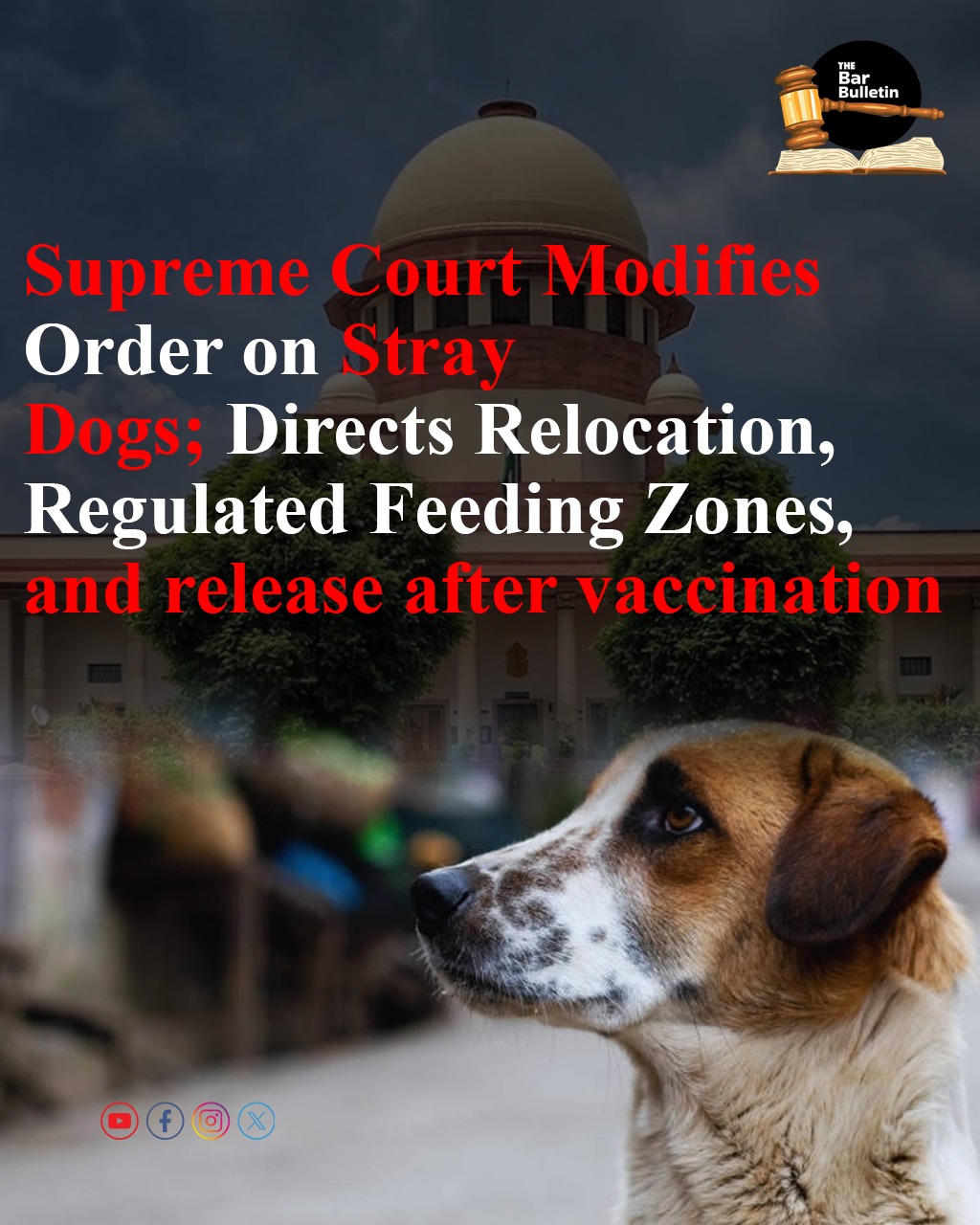 Supreme Court Modifies Order on Stray Dogs; Directs Relocation and Regulated Feeding Zones