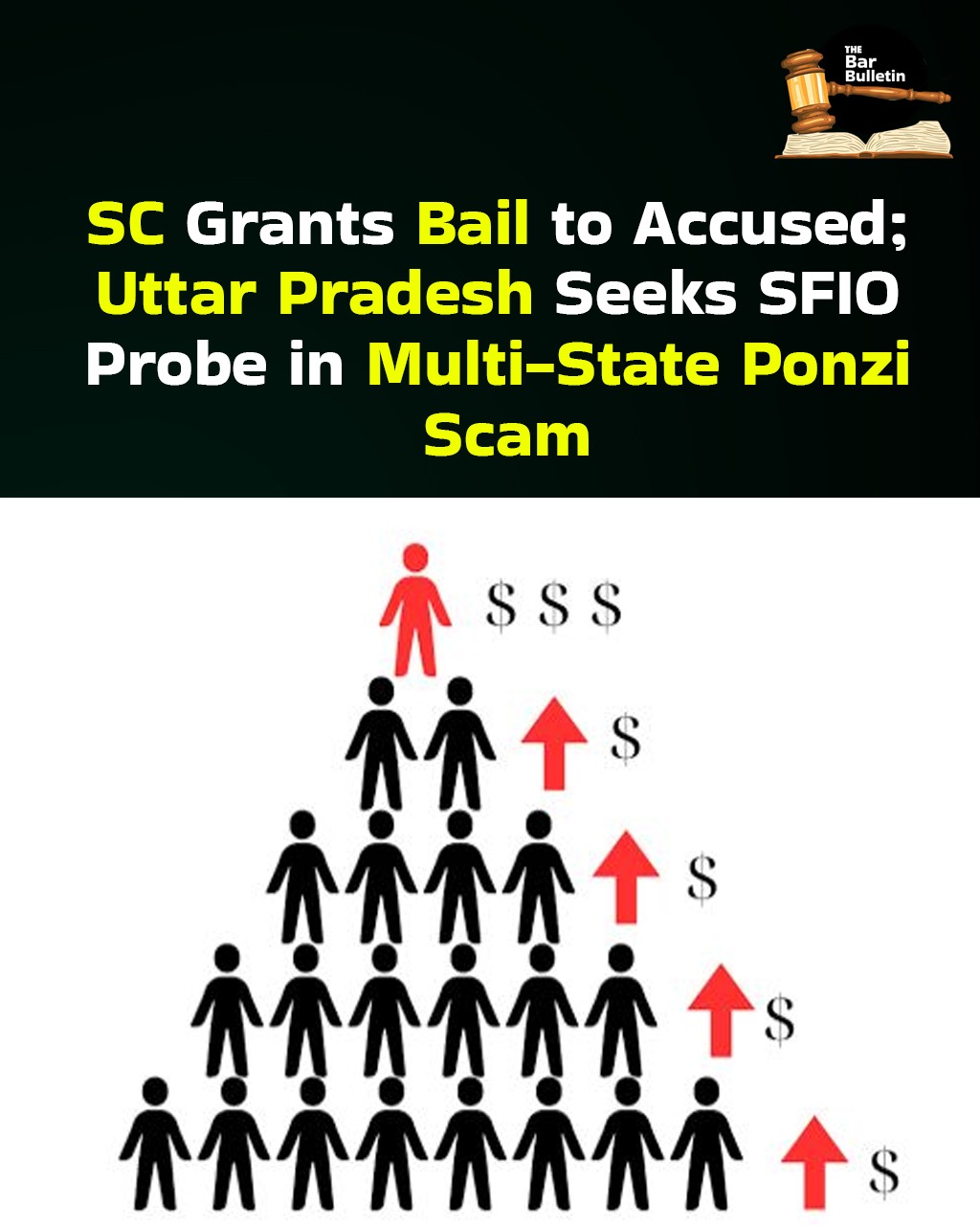 Ponzi Scam Bail