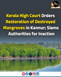 Mangrove Restoration Kerala