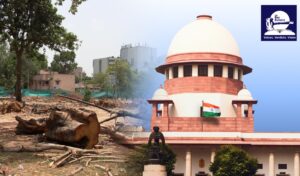 Delhi afforestation plan