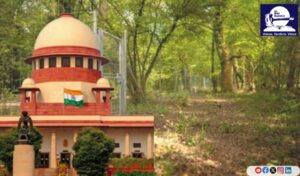 Private Forests Case
