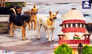 Stray Dogs Removal