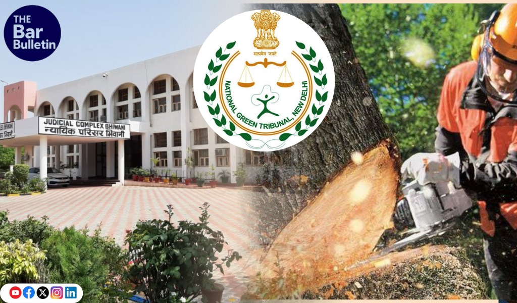 Bhiwani Tree Felling