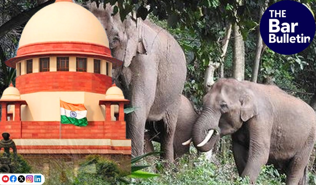 Elephant corridor ban