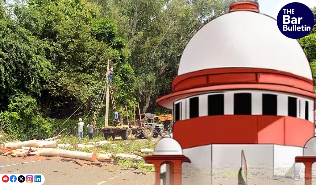 Forest land encroachment