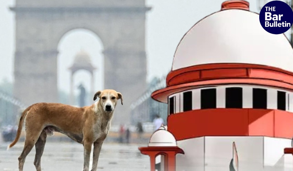 Supreme Court dogs menace