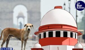 Supreme Court reserves stray dog verdict