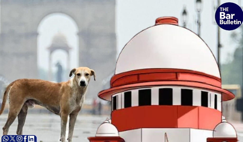 Supreme Court reserves stray dog verdict