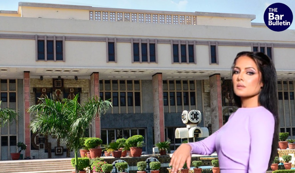 Delhi HC seeks UAE video interaction