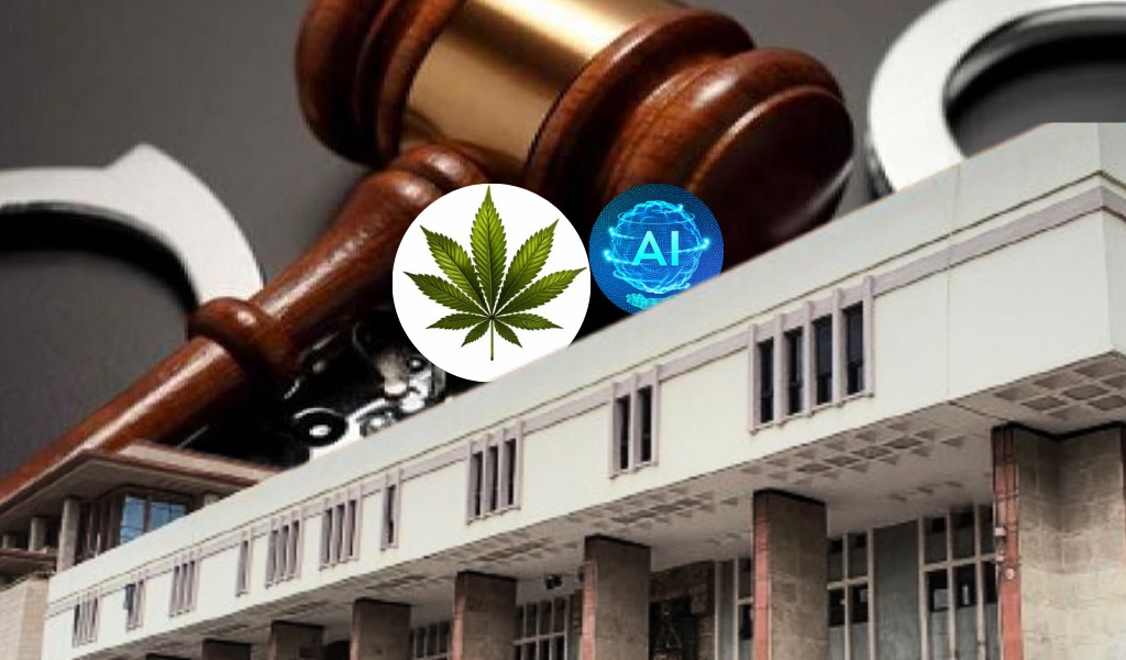 delhi hc ndps bail ai