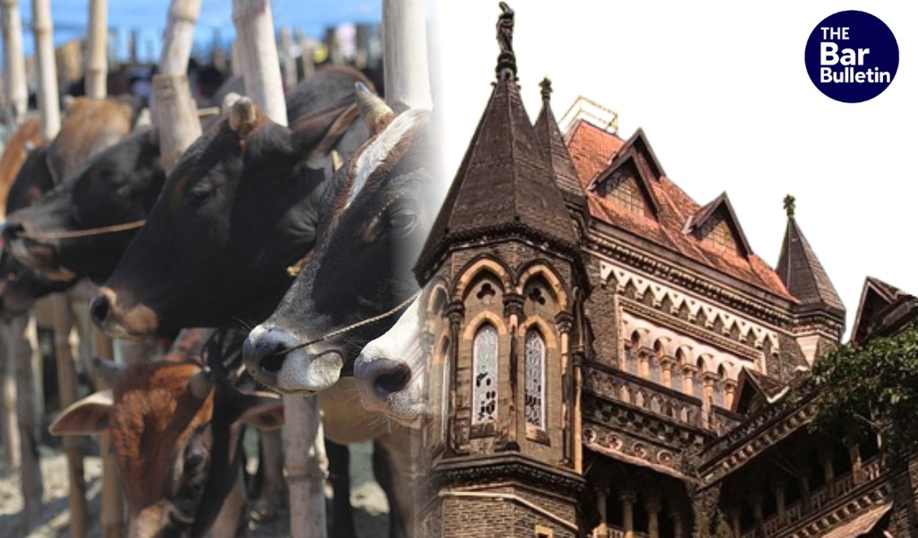 Bombay HC animal custody rules