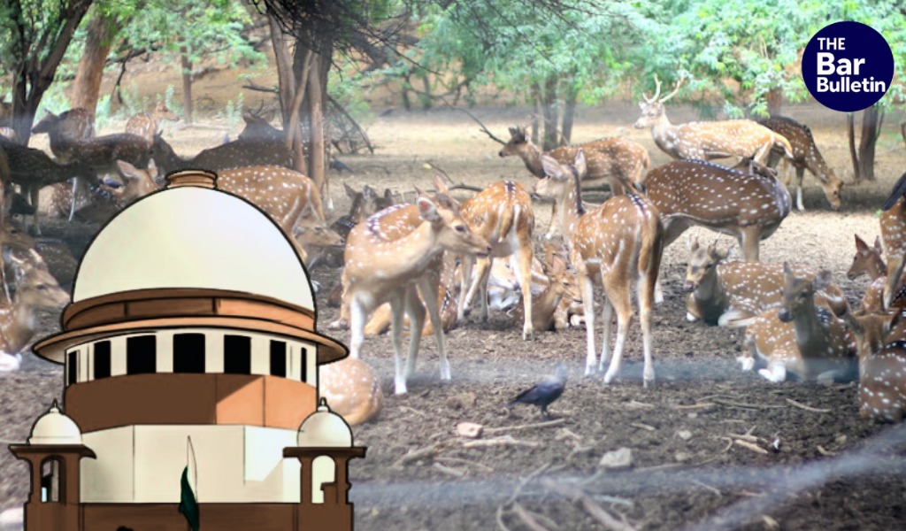 Deer translocation wildlife conservation ruling