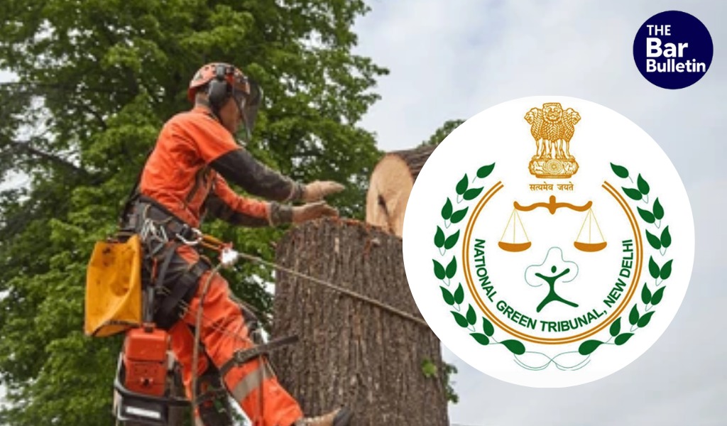 Dwarka project environmental clearance violation