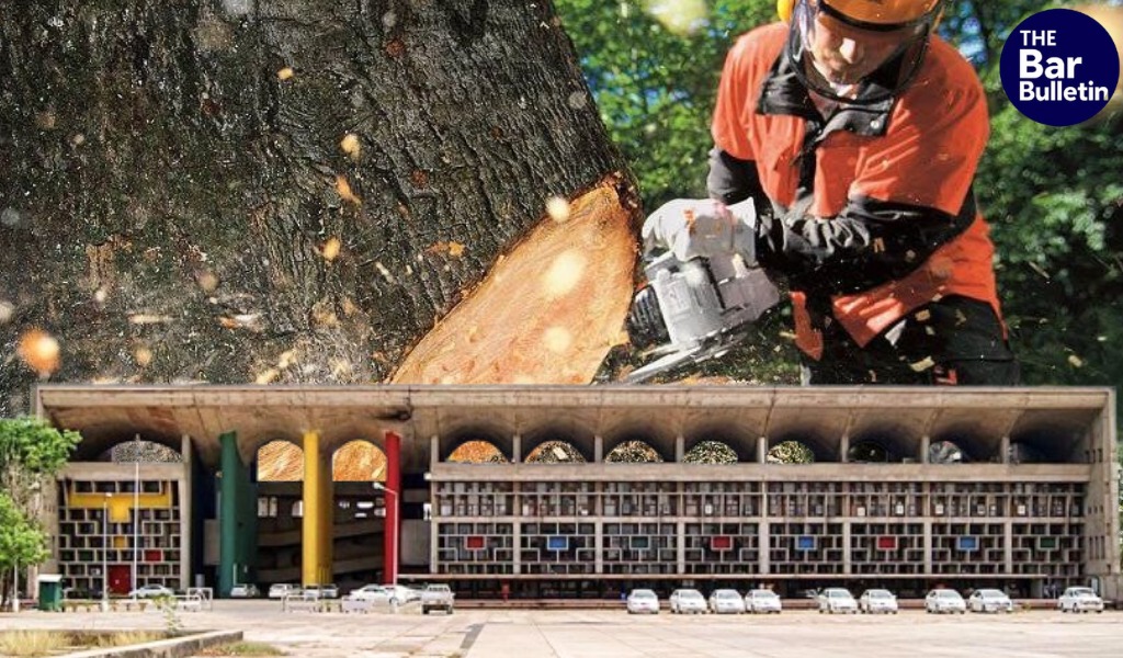 P&H HC tree felling ban