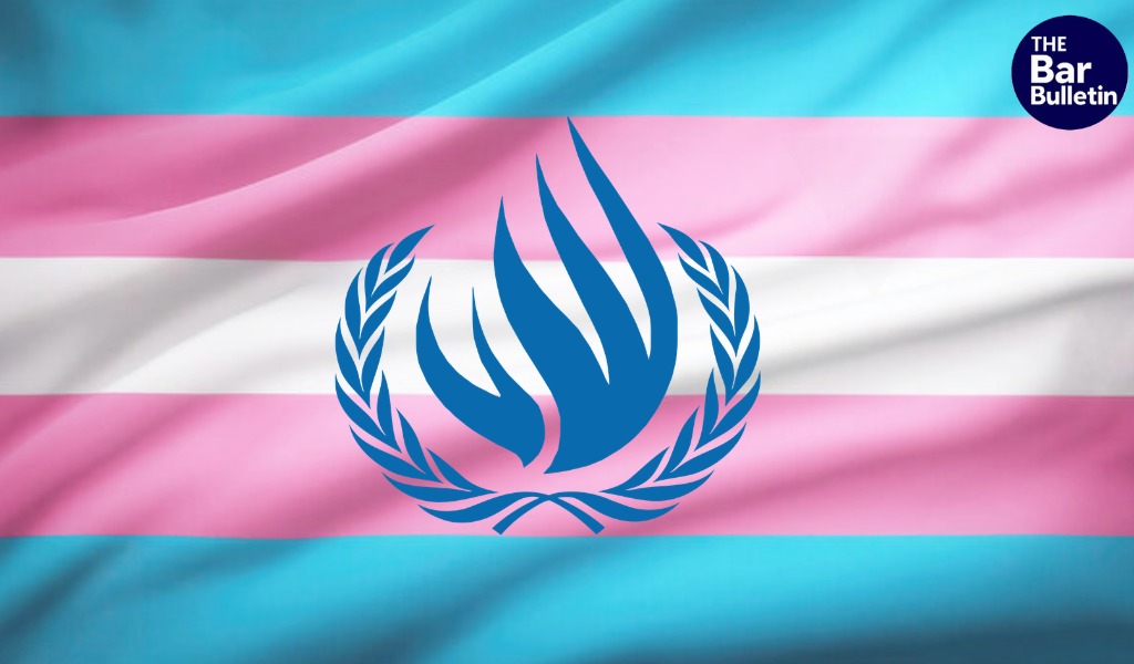 Transgender rights amendment legal concerns