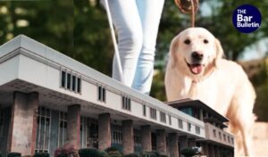 pet custody emotional bond ruling