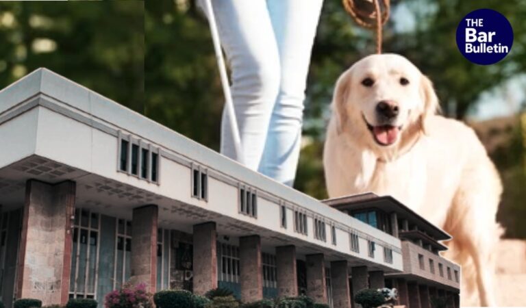 pet custody emotional bond ruling