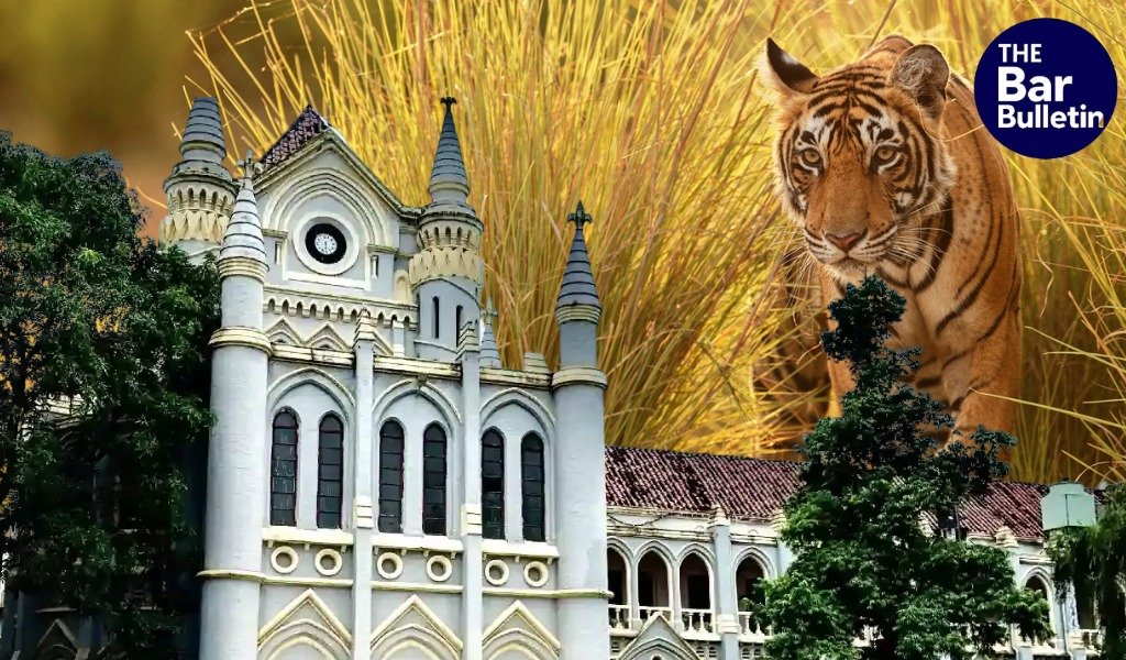 Tiger Deaths in Kanha