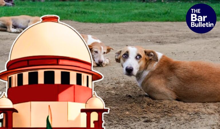 stray dog feeding liability