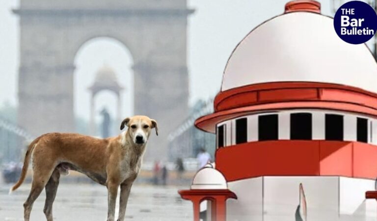 stray dog management directions