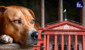 Karnataka HC rescued dogs custody