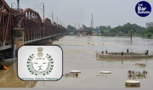 Illegal Cattle Shelters Yamuna