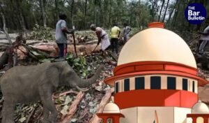 Segur Elephant Corridor Verdict