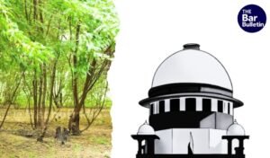 Vilayati Babool Removal