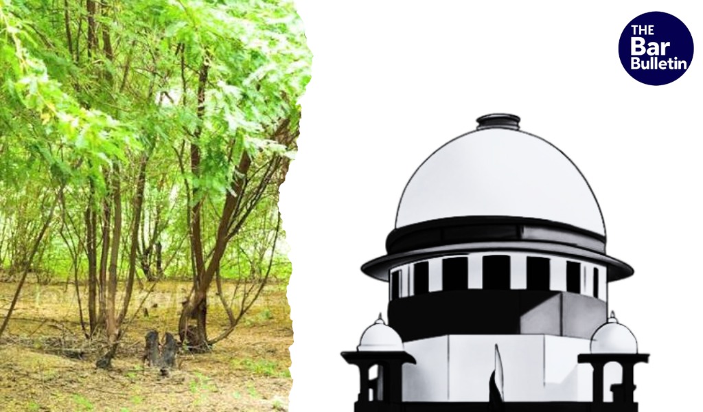 Vilayati Babool Removal