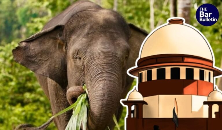 Captive Elephant Welfare Measures