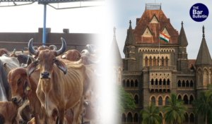 Cattle Maintenance Charges Judicial Discretion